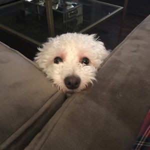 Meet your Posher, Julie